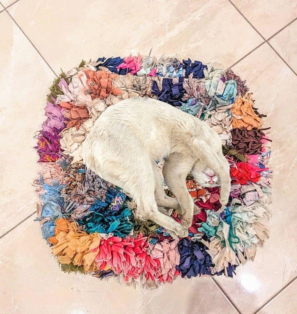 猫のプフ-ボシャルウィットプフ-No.10 【公式通販】